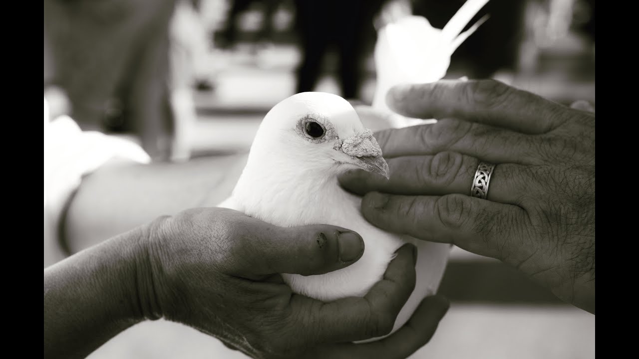 Radical Compassion & Social Courage